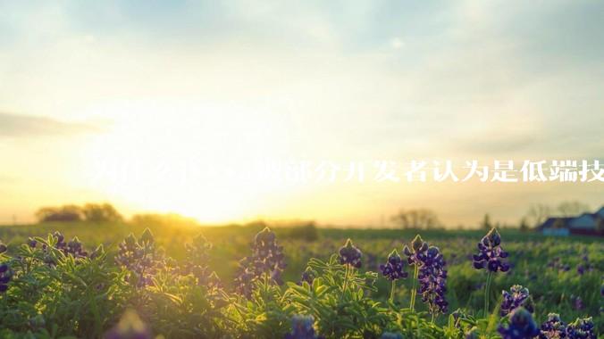 为什么j***a被部分开发者认为是低端技术？