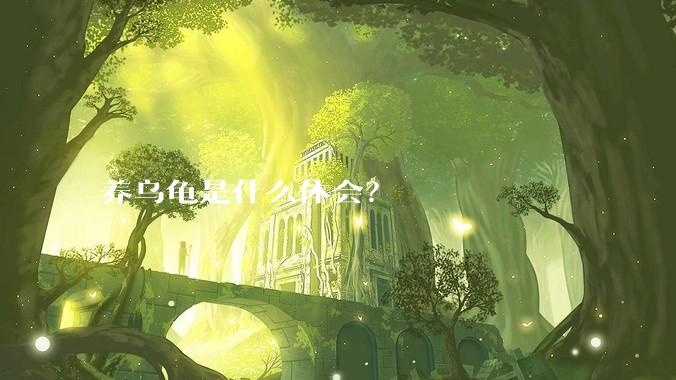 养乌龟是什么体会？