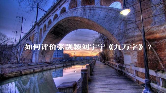 如何评价张靓颖刘宇宁《九万字》?