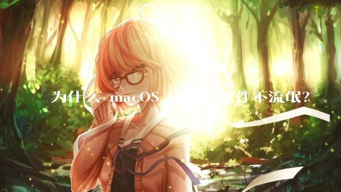 为什么 macOS 上国产软件不流氓？
