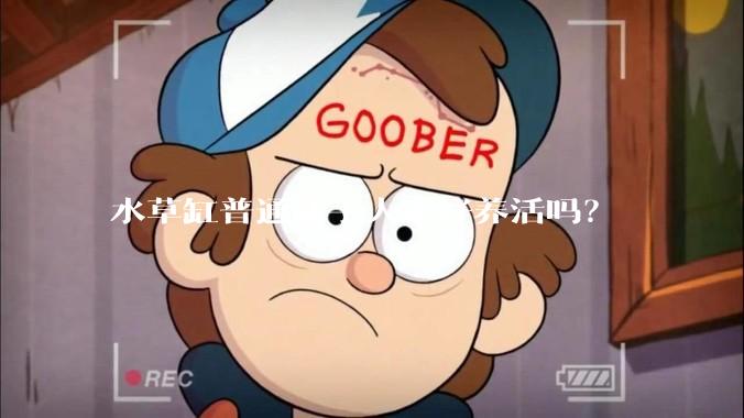 水草缸普通新手人家好养活吗？