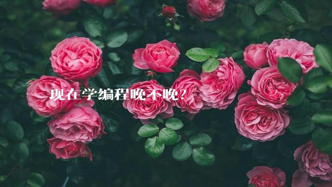 现在学编程晚不晚？