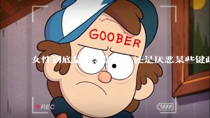 女性到底是厌恶键政，还是厌恶某些键政的人？