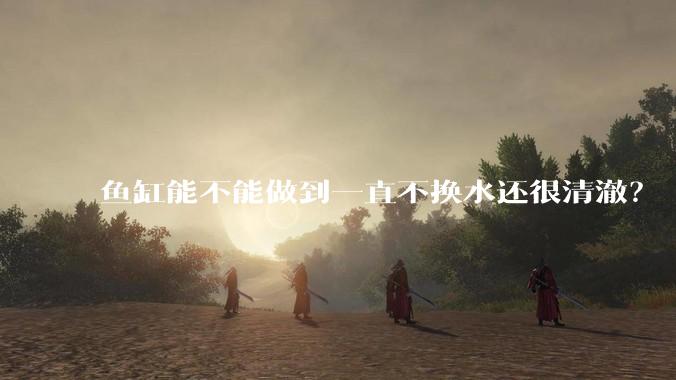鱼缸能不能做到一直不换水还很清澈？
