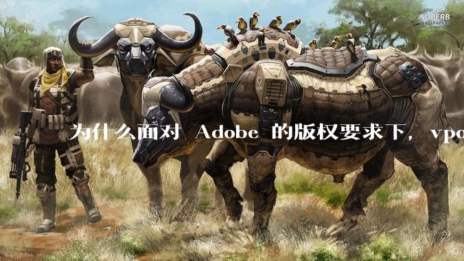 为什么面对 Adobe 的版权要求下，vposy 大神还能从容不迫？