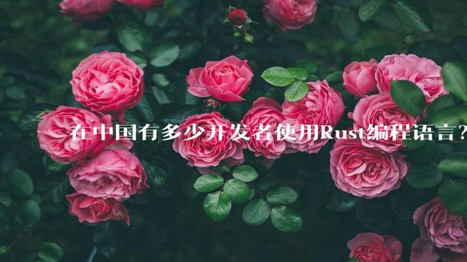 在中国有多少开发者使用Rust编程语言？