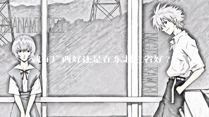 就在广西好还是在东北三省好?