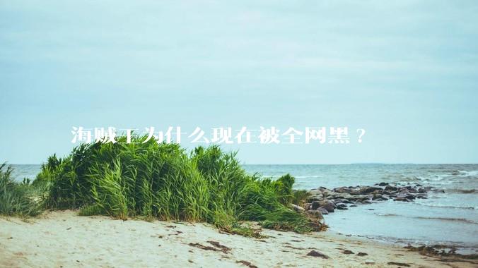 海贼王为什么现在被全网黑?