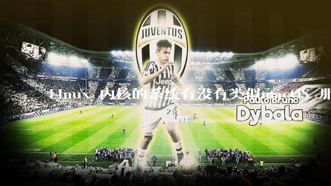 Linux 内核的系统有没有类似macOS 那样漂亮流畅的桌面环境的发行版本?