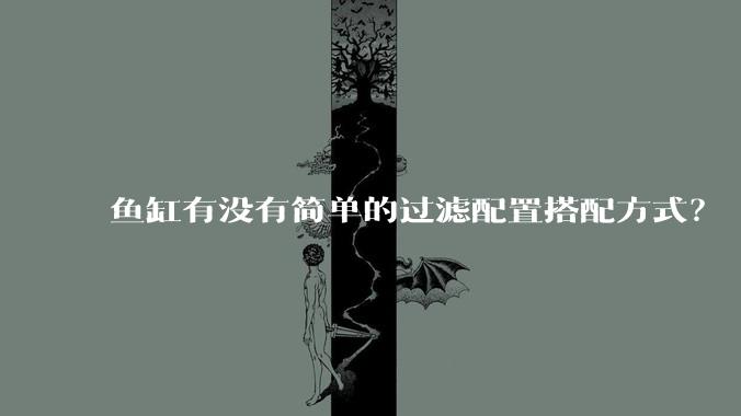 鱼缸有没有简单的过滤配置搭配方式？