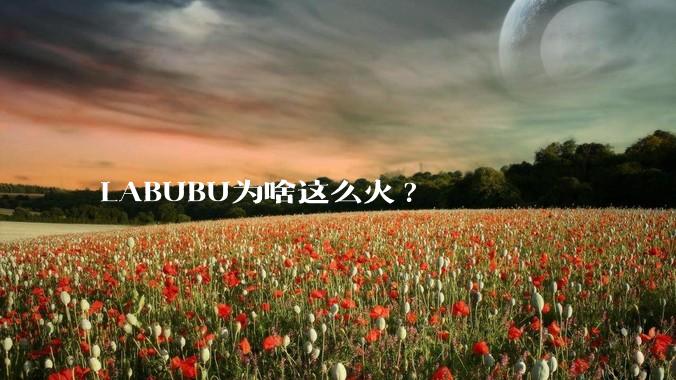 LABUBU为啥这么火?