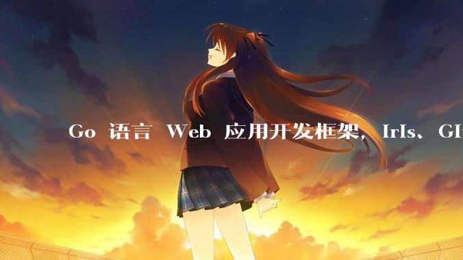 Go 语言 Web 应用开发框架，Iris、Gin、Echo，哪一个更适合大型项目？