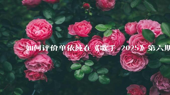 如何评价单依纯在《歌手 2025》第六期演唱的《一个人跳舞》？