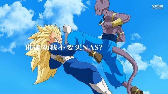 谁能劝我不要买NAS？