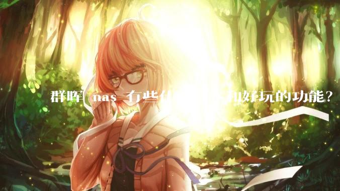 群晖 nas 有些什么基本和好玩的功能？