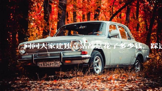 问问大家建独立站都是花了多少钱，踩过哪些坑？