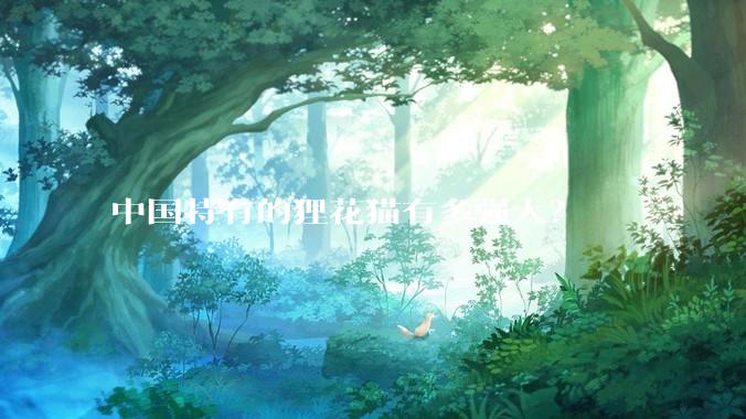 中国特有的狸花猫有多强大？