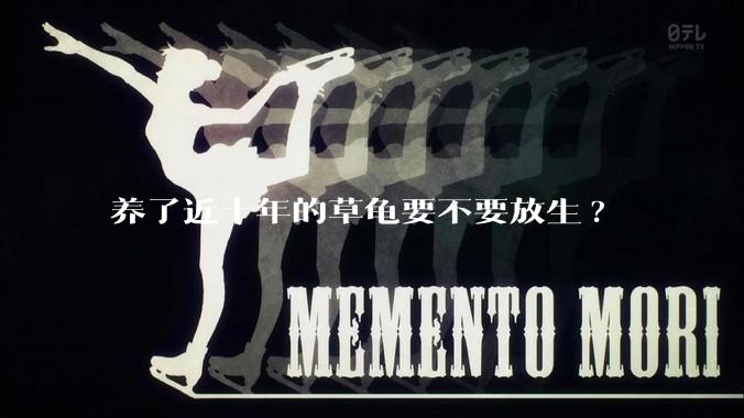 养了近十年的草龟要不要放生?