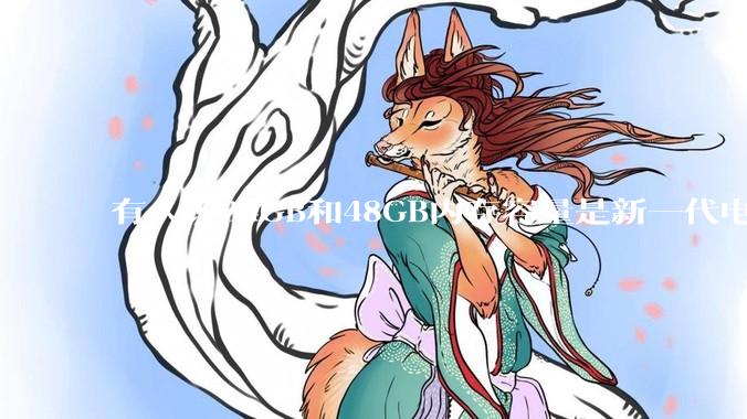 有人说24GB和48GB内存容量是新一代电脑平台最均衡的方案，真的是这样吗？电脑内存应该如何选？