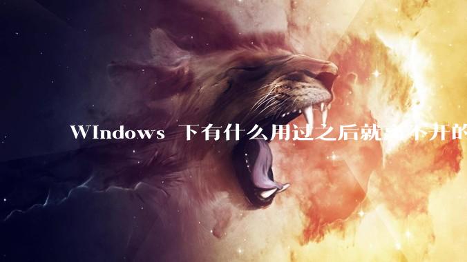 Windows 下有什么用过之后就离不开的冷门软件？