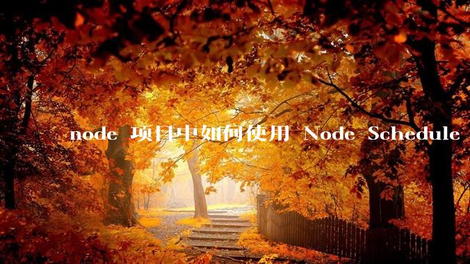 node 项目中如何使用 Node Schedule 创建定时任务？