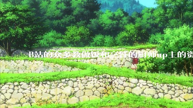 B站的众多教做饭和烹饪的厨师up主的资历与实力应如何排序？