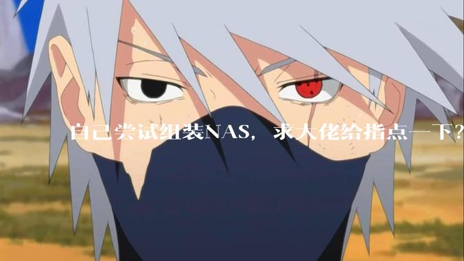 自己尝试组装NAS，求大佬给指点一下？
