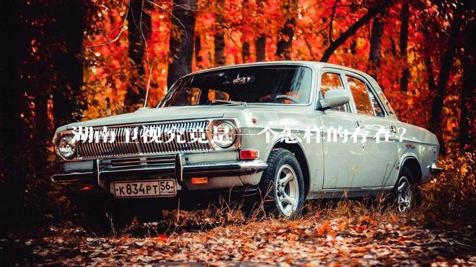 湖南卫视究竟是一个怎样的存在？